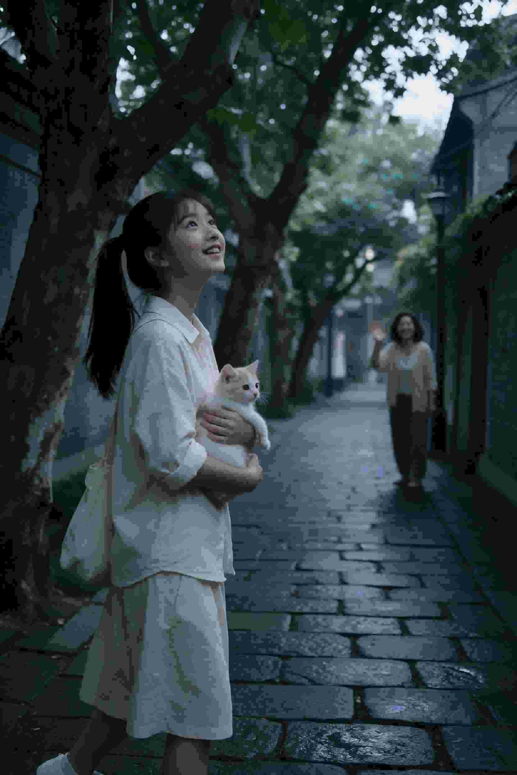 温暖的弦